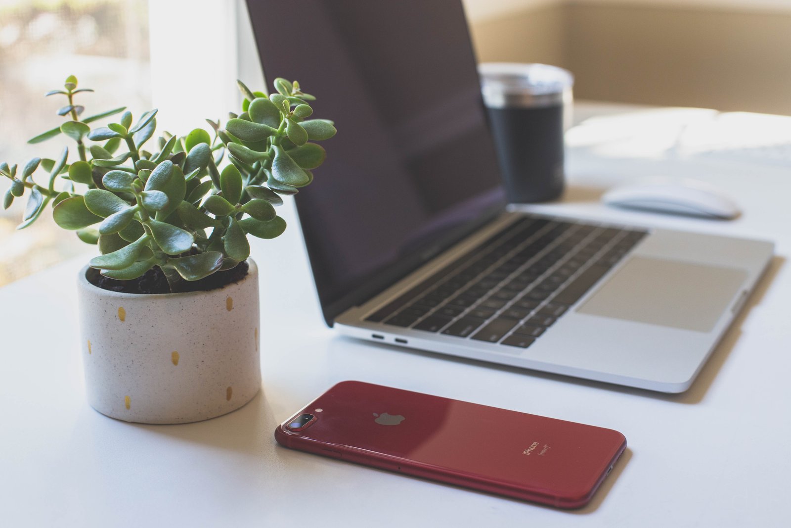 Work in the Remote Real World: A Recent Post-Grad's Reflection